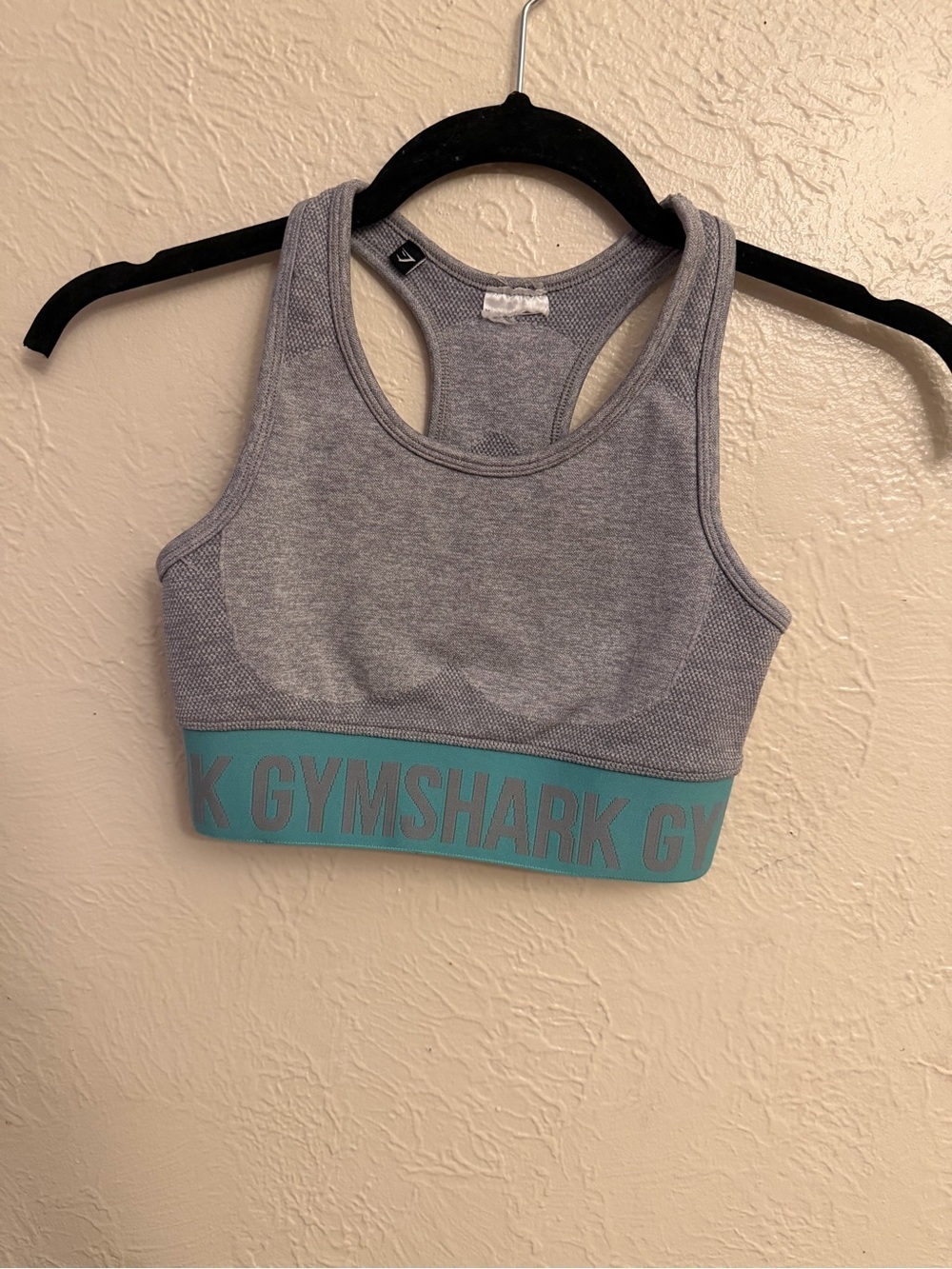 Gymshark Light Gray Sports Bra with Teal Logo Band